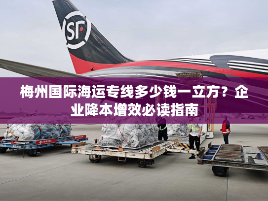 梅州国际海运专线多少钱一立方？企业降本增效必读指南