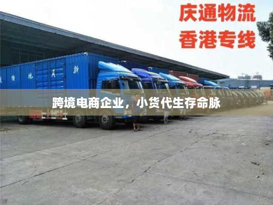 跨境电商企业,小货代生存命脉 跨境电商企业,小货代生存命脉