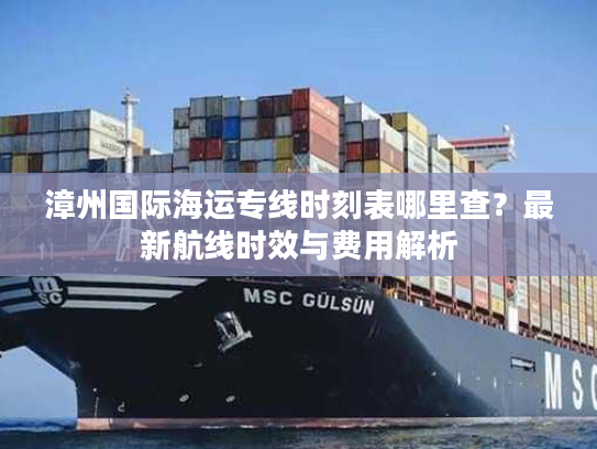 漳州国际海运专线时刻表哪里查?最新航线时效与费用解析 漳州国际海运专线时刻表哪里查?最新航线时效与费用解析
