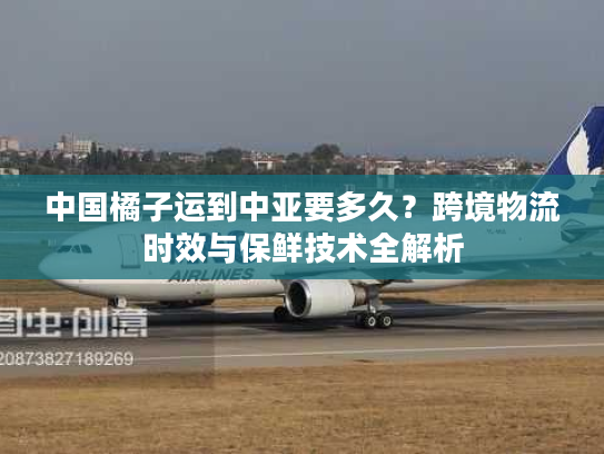 中国橘子运到中亚要多久？跨境物流时效与保鲜技术全解析