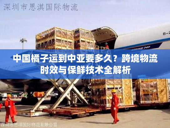 中国橘子运到中亚要多久？跨境物流时效与保鲜技术全解析