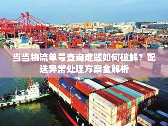 当当物流单号查询难题如何破解？配送异常处理方案全解析