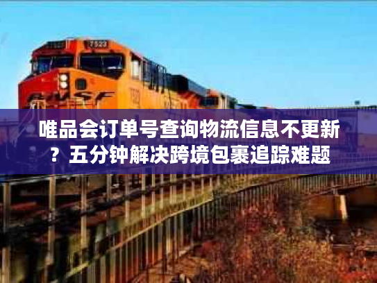 唯品会订单号查询物流信息不更新？五分钟解决跨境包裹追踪难题