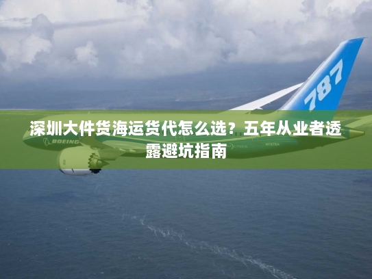 深圳大件货海运货代怎么选？五年从业者透露避坑指南