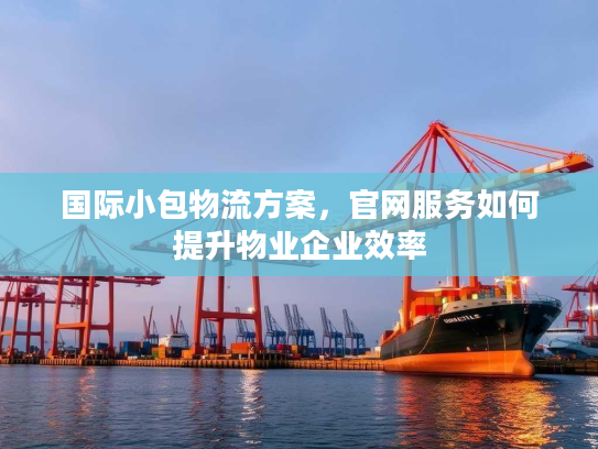 国际小包物流方案，官网服务如何提升物业企业效率