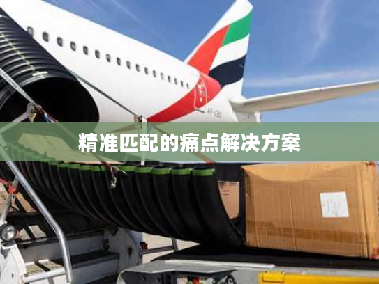 精准匹配的痛点解决方案