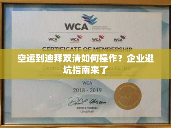 空运到迪拜双清如何操作？企业避坑指南来了