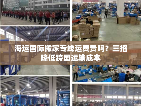 海运国际搬家专线运费贵吗？三招降低跨国运输成本