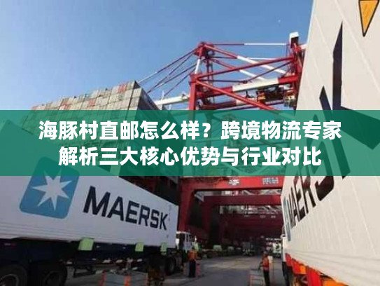 海豚村直邮怎么样?跨境物流专家解析三大核心优势与行业对比 海豚村直邮怎么样?跨境物流专家解析三大核心优势与行业对比