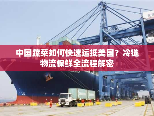 中国蔬菜如何快速运抵美国？冷链物流保鲜全流程解密