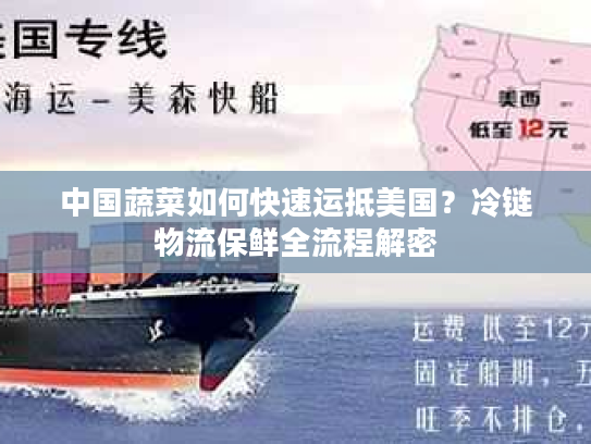 中国蔬菜如何快速运抵美国？冷链物流保鲜全流程解密
