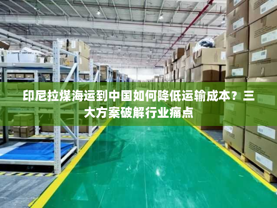 印尼拉煤海运到中国如何降低运输成本？三大方案破解行业痛点