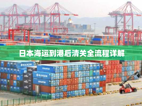 日本海运到港后清关全流程详解