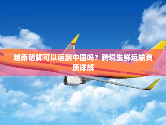 越南猪脚可以运到中国吗?跨境生鲜运输资质详解 越南猪脚可以运到中国吗?跨境生鲜运输资质详解
