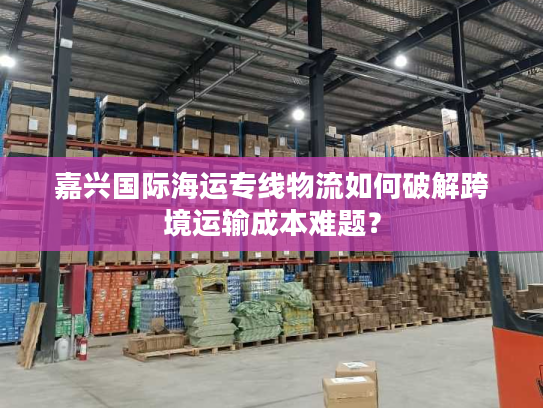 嘉兴国际海运专线物流如何破解跨境运输成本难题？