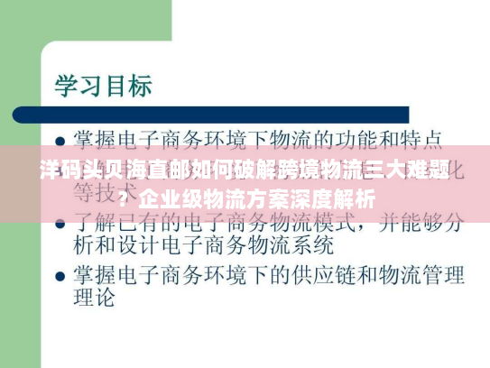 洋码头贝海直邮如何破解跨境物流三大难题?企业级物流方案深度解析 洋码头贝海直邮如何破解跨境物流三大难题?企业级物流方案深度解析