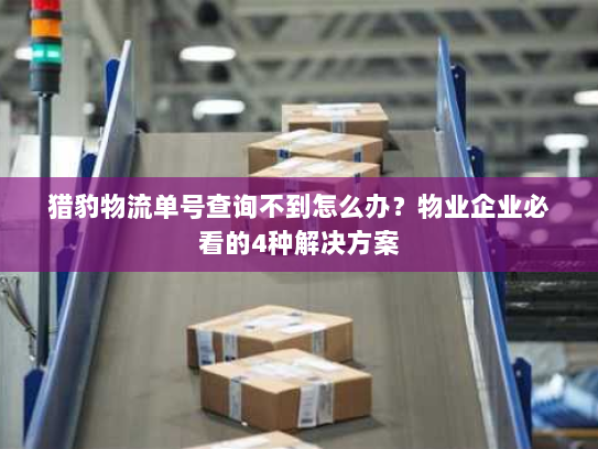 猎豹物流单号查询不到怎么办?物业企业必看的4种解决方案 猎豹物流单号查询不到怎么办?物业企业必看的4种解决方案