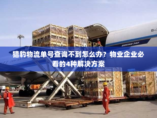 猎豹物流单号查询不到怎么办?物业企业必看的4种解决方案 猎豹物流单号查询不到怎么办?物业企业必看的4种解决方案