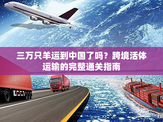 三万只羊运到中国了吗？跨境活体运输的完整通关指南