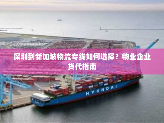 深圳到新加坡物流专线如何选择?物业企业货代指南 深圳到新加坡物流专线如何选择?物业企业货代指南