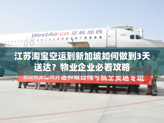 江苏淘宝空运到新加坡如何做到3天送达？物业企业必看攻略