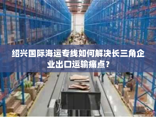 绍兴国际海运专线如何解决长三角企业出口运输痛点？