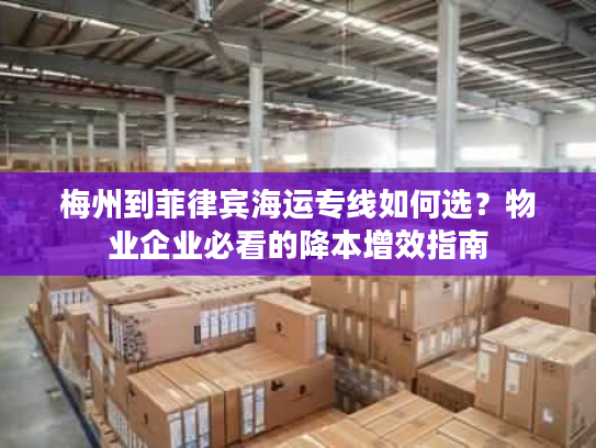 梅州到菲律宾海运专线如何选?物业企业必看的降本增效指南 梅州到菲律宾海运专线如何选?物业企业必看的降本增效指南