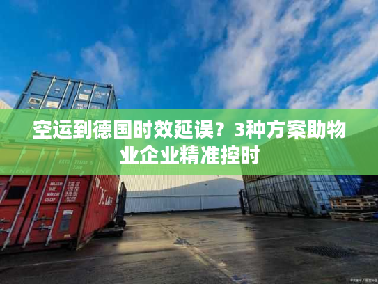 空运到德国时效延误？3种方案助物业企业精准控时