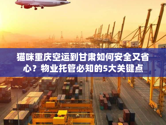 猫咪重庆空运到甘肃如何安全又省心？物业托管必知的5大关键点