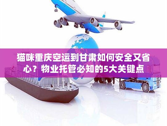 猫咪重庆空运到甘肃如何安全又省心？物业托管必知的5大关键点