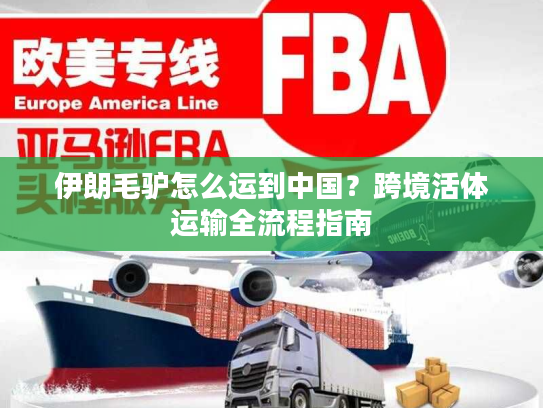 伊朗毛驴怎么运到中国？跨境活体运输全流程指南