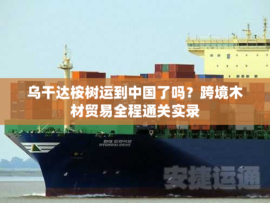 乌干达桉树运到中国了吗？跨境木材贸易全程通关实录