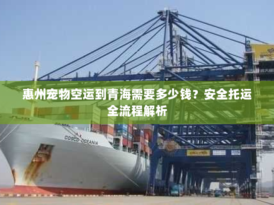 惠州宠物空运到青海需要多少钱?安全托运全流程解析 惠州宠物空运到青海需要多少钱?安全托运全流程解析