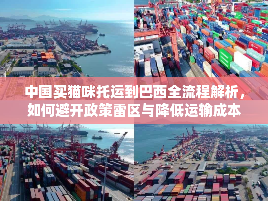 中国买猫咪托运到巴西全流程解析，如何避开政策雷区与降低运输成本？