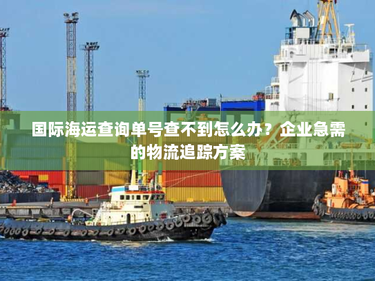 国际海运查询单号查不到怎么办?企业急需的物流追踪方案 国际海运查询单号查不到怎么办?企业急需的物流追踪方案