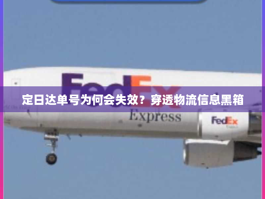 定日达单号为何会失效？穿透物流信息黑箱
