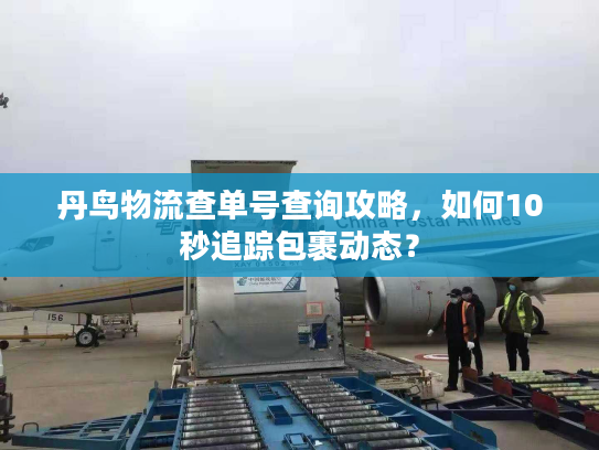 丹鸟物流查单号查询攻略，如何10秒追踪包裹动态？