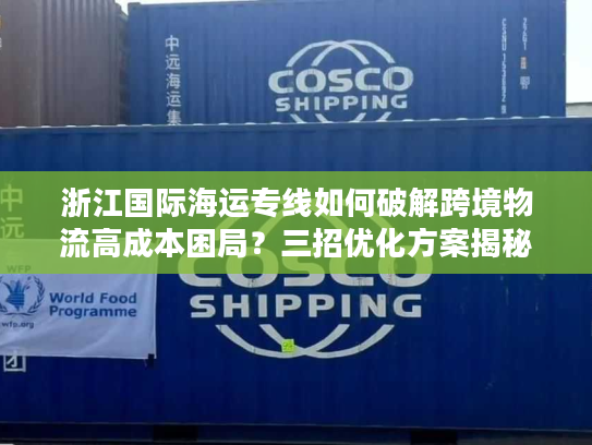 浙江国际海运专线如何破解跨境物流高成本困局？三招优化方案揭秘