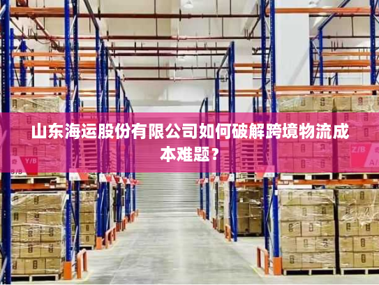 山东海运股份有限公司如何破解跨境物流成本难题? 山东海运股份有限公司如何破解跨境物流成本难题?