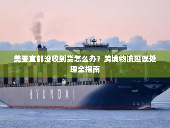 美亚直邮没收到货怎么办?跨境物流延误处理全指南 美亚直邮没收到货怎么办?跨境物流延误处理全指南