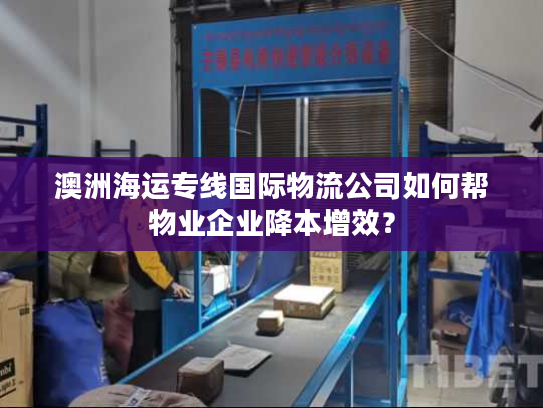 澳洲海运专线国际物流公司如何帮物业企业降本增效？