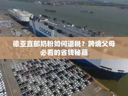 德亚直邮奶粉如何退税？跨境父母必看的省钱秘籍