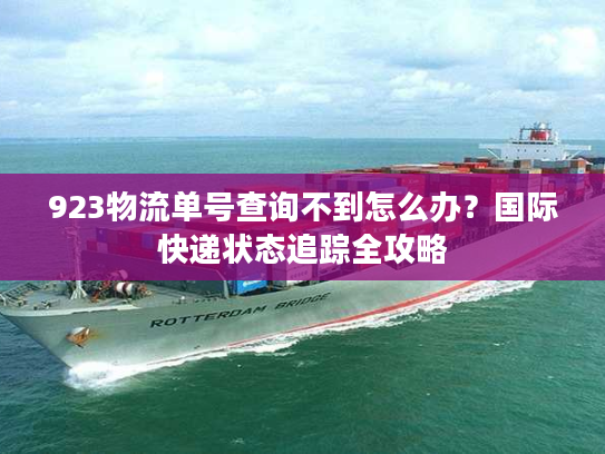 923物流单号查询不到怎么办？国际快递状态追踪全攻略