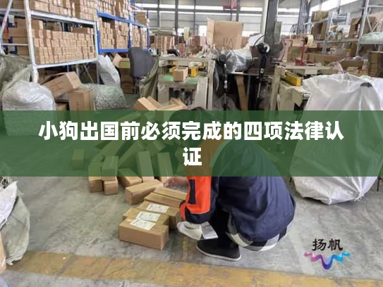 小狗出国前必须完成的四项法律认证