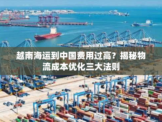 越南海运到中国费用过高？揭秘物流成本优化三大法则