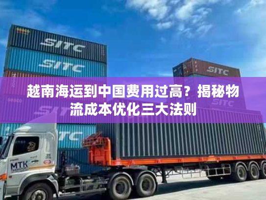 越南海运到中国费用过高？揭秘物流成本优化三大法则