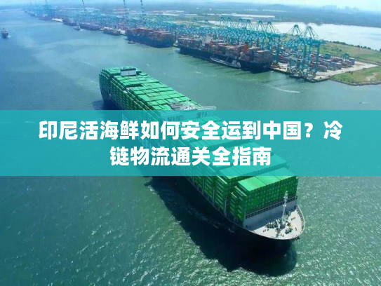 印尼活海鲜如何安全运到中国？冷链物流通关全指南
