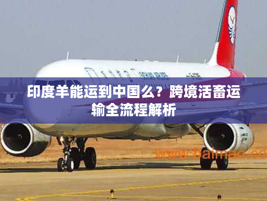 印度羊能运到中国么？跨境活畜运输全流程解析