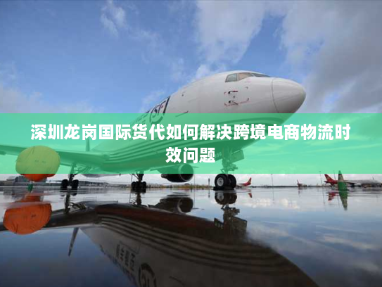 深圳龙岗国际货代如何解决跨境电商物流时效问题 深圳龙岗国际货代如何解决跨境电商物流时效问题