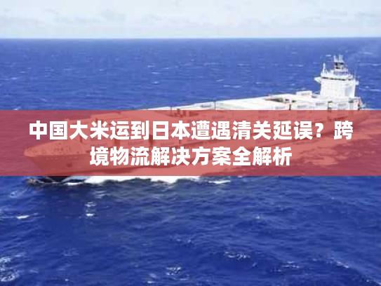 中国大米运到日本遭遇清关延误？跨境物流解决方案全解析